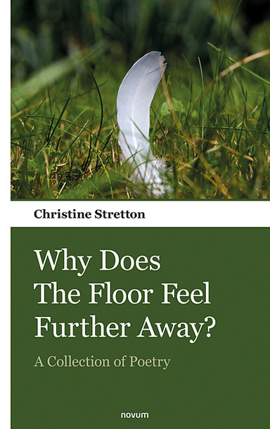 Why Does The Floor Feel Further Away? Cover: Why Does The Floor Feel Further Away?